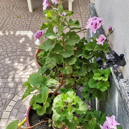 Casa Di Genni 雷焦卡拉布里亚